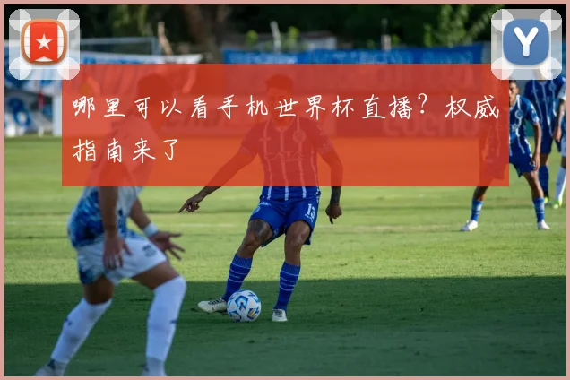 哪里可以看手机世界杯直播？权威指南来了