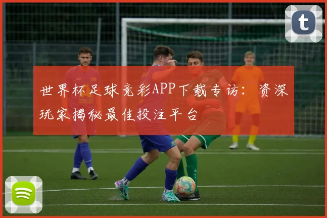 世界杯足球竞彩APP下载专访：资深玩家揭秘最佳投注平台