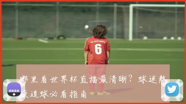 哪里看世界杯直播最清晰？球迷熬夜追球必看指南