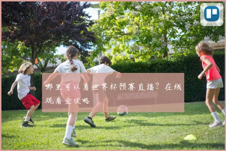 哪里可以看世界杯预赛直播？在线观看全攻略