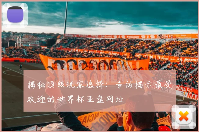 揭秘顶级玩家选择：专访揭示最受欢迎的世界杯亚盘网址