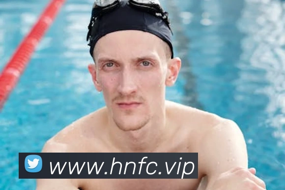 问鼎在线登录入口平台生态图